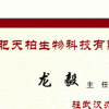 龙毅