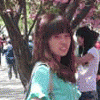 wenliqin