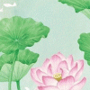 汐诺