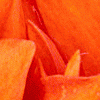 sl223098