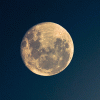 星星我去