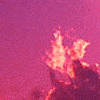 congxin
