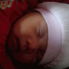 Annalaw