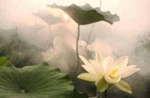 测一测气场十足的你，在公众场合可以震慑住很多人吗