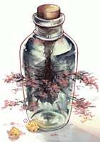魔法瓶药水预测未来