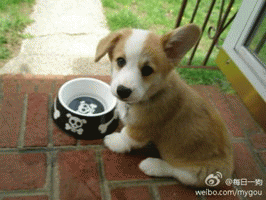 生活中你是爱管闲事的人吗