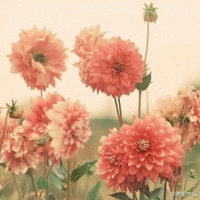 2015年你在哪个季节最走运