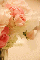 2015年你在哪个季节最走运