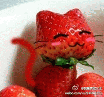 才华能为你赢得啥