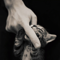 你是猎艳专家吗