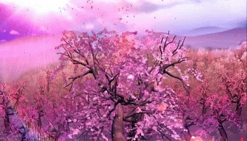 下半年哪个月你的桃花比较好？