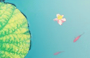 测你是不是职场当中的夹心饼干
