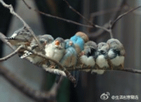 测测你容易因为什么而招黑